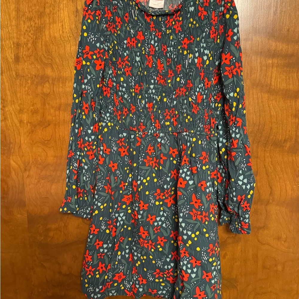 Hanna Andersson Blue Floral Dress